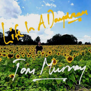 Album Cover: The musician in the middle of a sunflower field.
