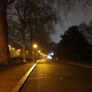 Album Cover: An orange-lit empty road with a row of trees on the sidewalk.
